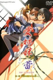 Ai Shimai Tsubomi… Kegashite Kudasai